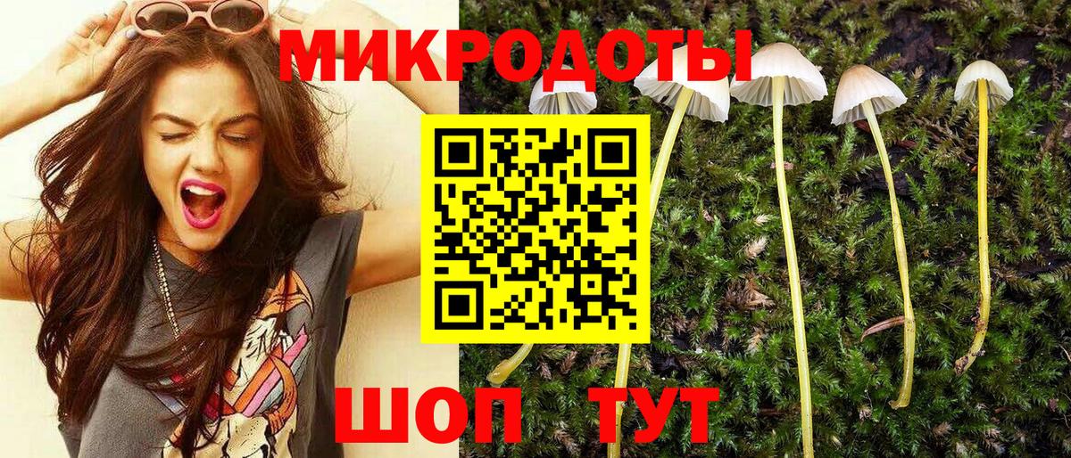 Псилоцибиновые грибы Psilocybe Грязи
