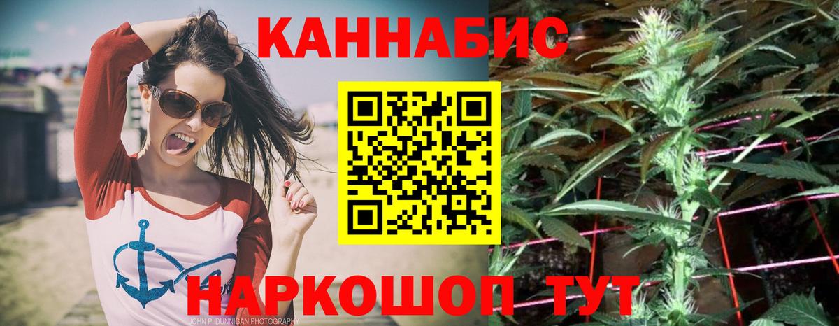 Конопля White Widow  Конопля AK-47  Вход с VPN  Грязи  Канабис SATIVA & INDICA  Бошки марихуана план 